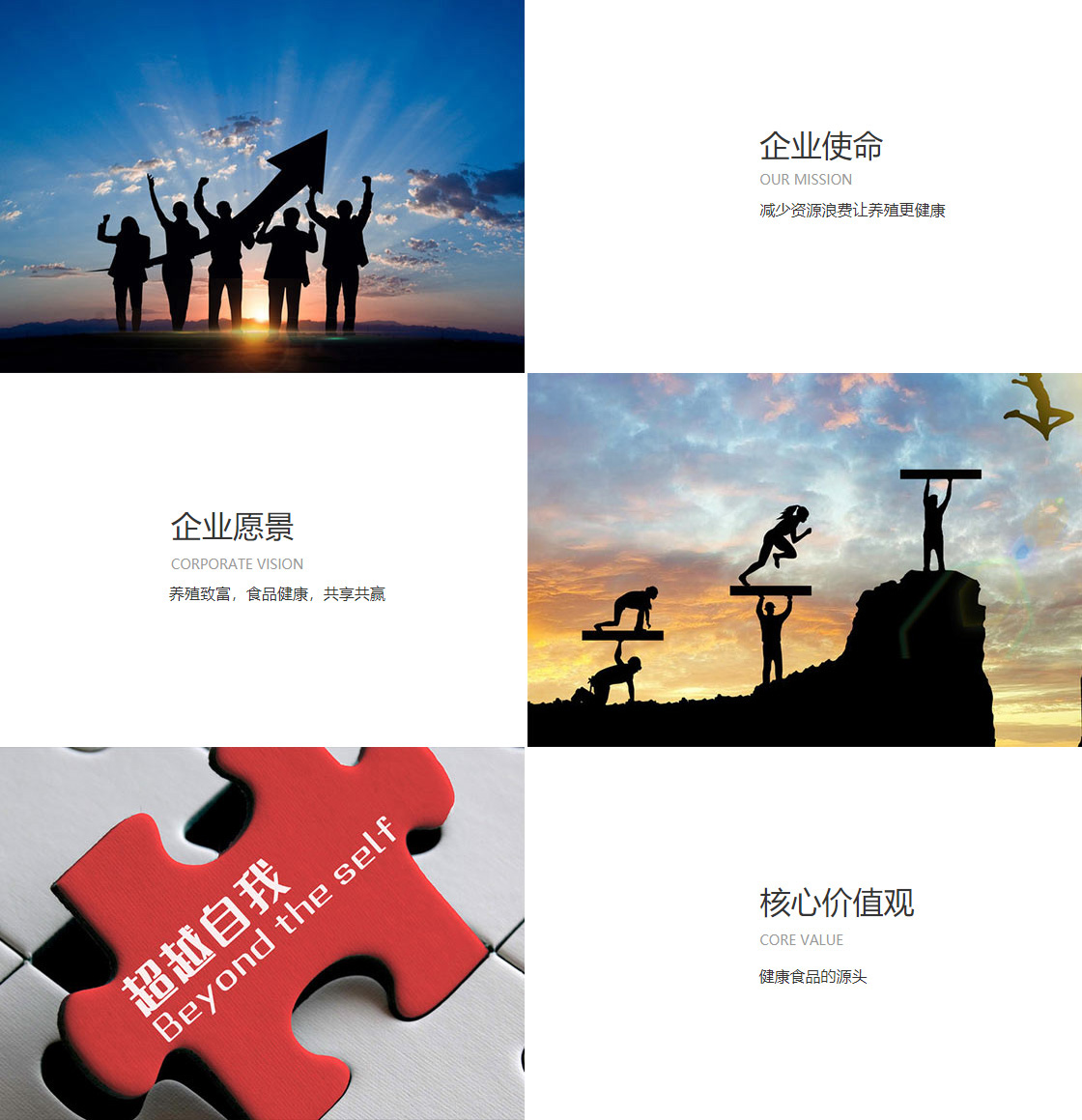 kok全站(图1)